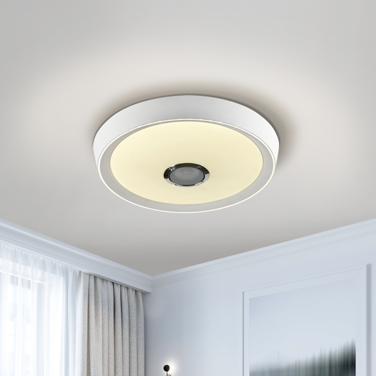 Jazz Ceiling Light by Schuller